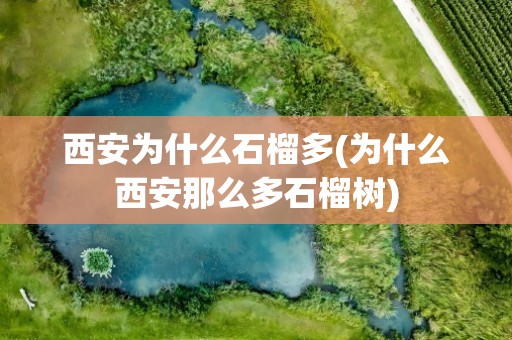 西安为什么石榴多(为什么西安那么多石榴树)
