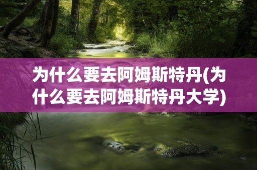 为什么要去阿姆斯特丹(为什么要去阿姆斯特丹大学)