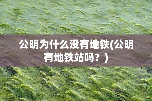 公明为什么没有地铁(公明有地铁站吗？)