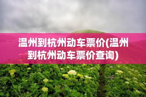 温州到杭州动车票价(温州到杭州动车票价查询)