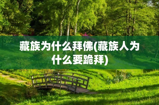 藏族为什么拜佛(藏族人为什么要跪拜)