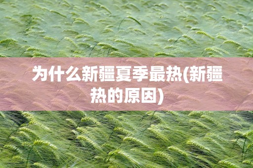 为什么新疆夏季最热(新疆热的原因)