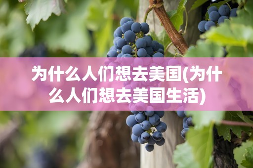 为什么人们想去美国(为什么人们想去美国生活)
