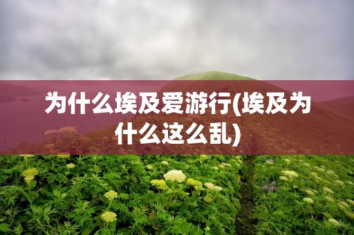 为什么埃及爱游行(埃及为什么这么乱)
