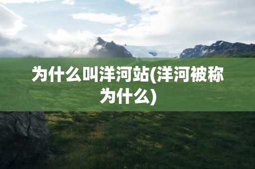 为什么叫洋河站(洋河被称为什么)