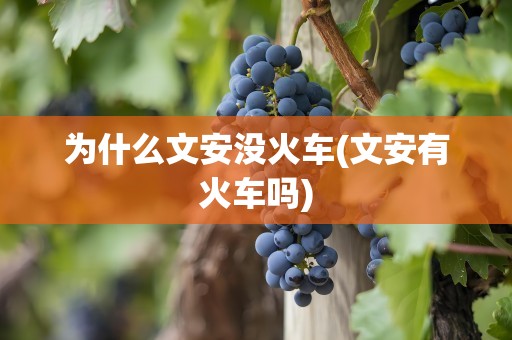 为什么文安没火车(文安有火车吗)
