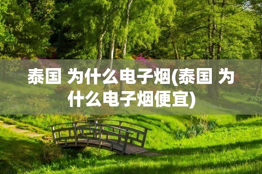 泰国 为什么电子烟(泰国 为什么电子烟便宜)