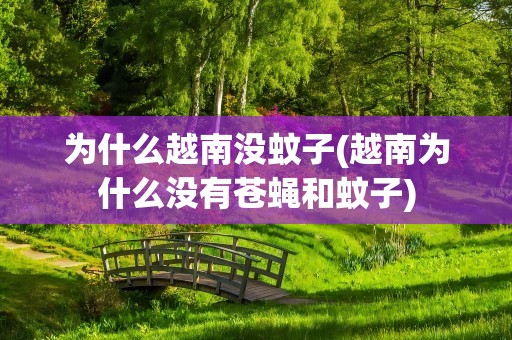 为什么越南没蚊子(越南为什么没有苍蝇和蚊子)