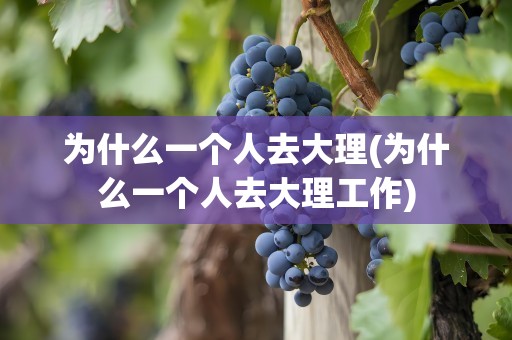 为什么一个人去大理(为什么一个人去大理工作)