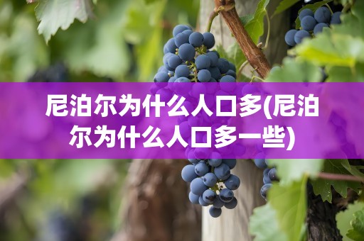尼泊尔为什么人口多(尼泊尔为什么人口多一些)