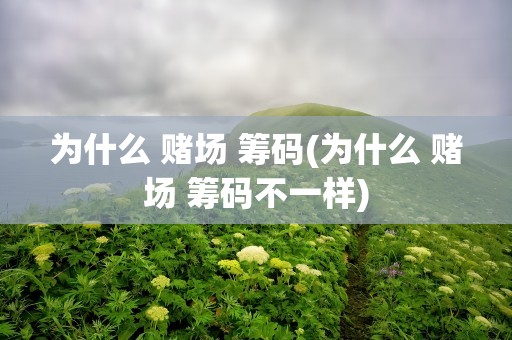 为什么 赌场 筹码(为什么 赌场 筹码不一样)