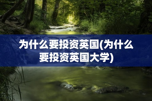 为什么要投资英国(为什么要投资英国大学)