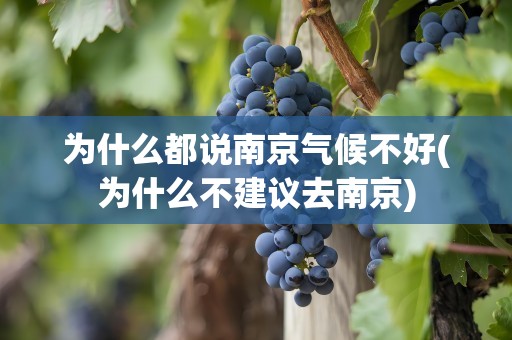 为什么都说南京气候不好(为什么不建议去南京)