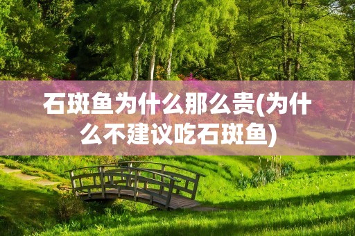 石斑鱼为什么那么贵(为什么不建议吃石斑鱼)
