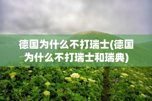德国为什么不打瑞士(德国为什么不打瑞士和瑞典)