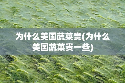 为什么美国蔬菜贵(为什么美国蔬菜贵一些)
