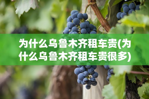 为什么乌鲁木齐租车贵(为什么乌鲁木齐租车贵很多)