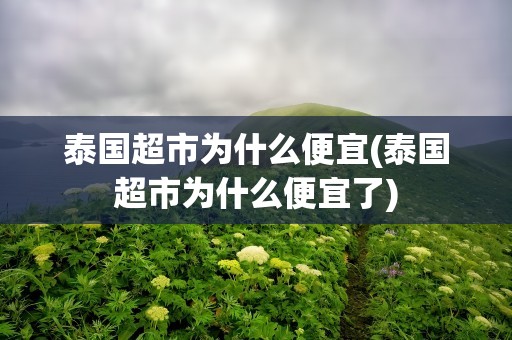泰国超市为什么便宜(泰国超市为什么便宜了)