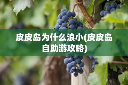 皮皮岛为什么浪小(皮皮岛自助游攻略)