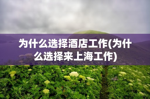 为什么选择酒店工作(为什么选择来上海工作)