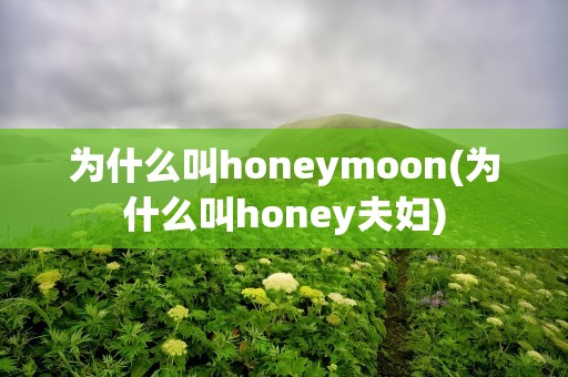 为什么叫honeymoon(为什么叫honey夫妇)