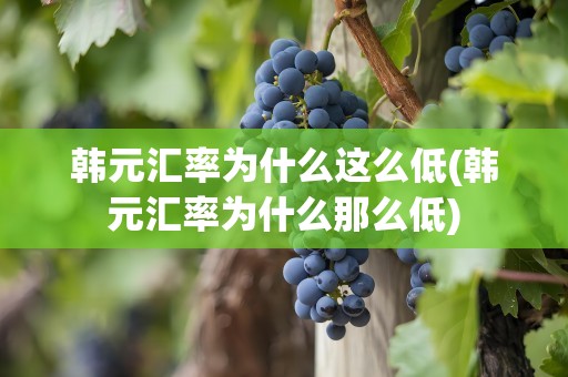 韩元汇率为什么这么低(韩元汇率为什么那么低)