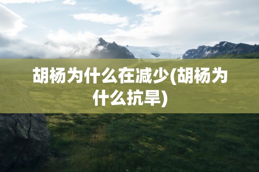 胡杨为什么在减少(胡杨为什么抗旱)