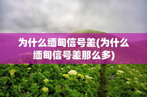 为什么缅甸信号差(为什么缅甸信号差那么多)