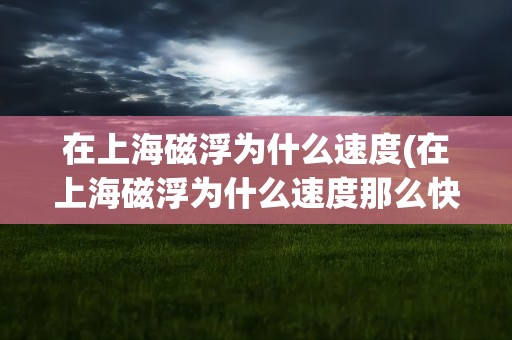 在上海磁浮为什么速度(在上海磁浮为什么速度那么快)