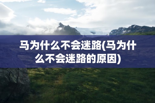 马为什么不会迷路(马为什么不会迷路的原因)
