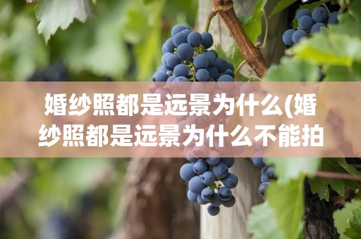 婚纱照都是远景为什么(婚纱照都是远景为什么不能拍)