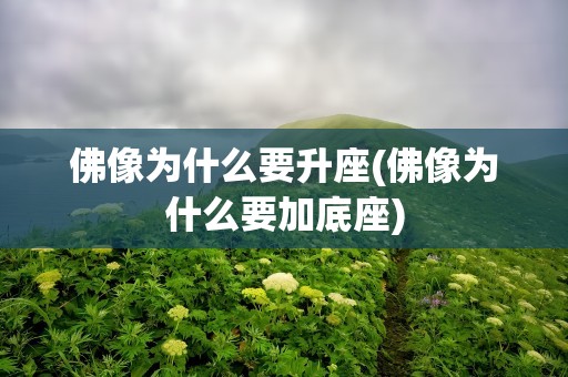 佛像为什么要升座(佛像为什么要加底座)