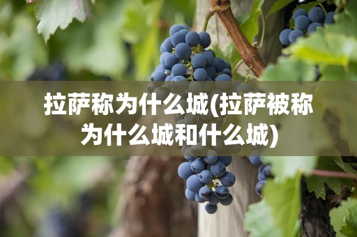 拉萨称为什么城(拉萨被称为什么城和什么城)