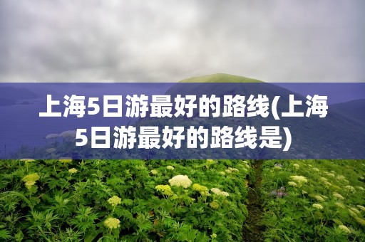 上海5日游最好的路线(上海5日游最好的路线是)