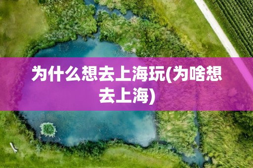 为什么想去上海玩(为啥想去上海)