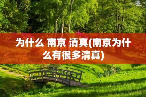 为什么 南京 清真(南京为什么有很多清真)