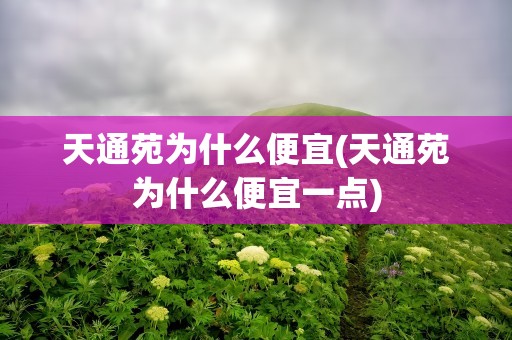 天通苑为什么便宜(天通苑为什么便宜一点)