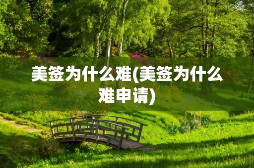 美签为什么难(美签为什么难申请)