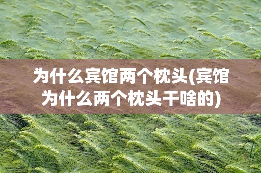 为什么宾馆两个枕头(宾馆为什么两个枕头干啥的)