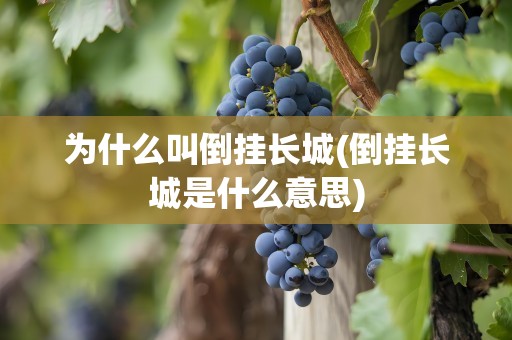 为什么叫倒挂长城(倒挂长城是什么意思)
