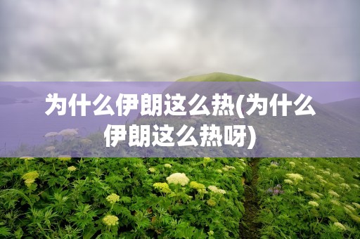 为什么伊朗这么热(为什么伊朗这么热呀)