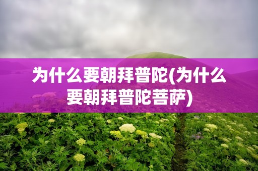 为什么要朝拜普陀(为什么要朝拜普陀菩萨)