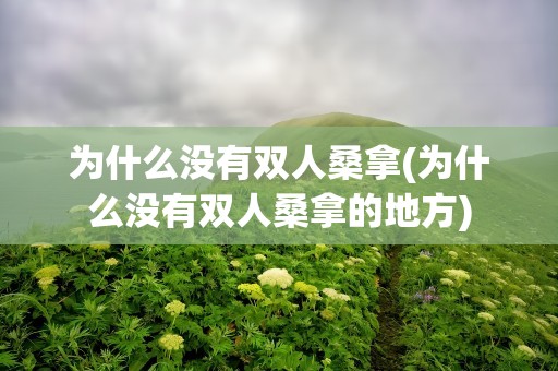 为什么没有双人桑拿(为什么没有双人桑拿的地方)