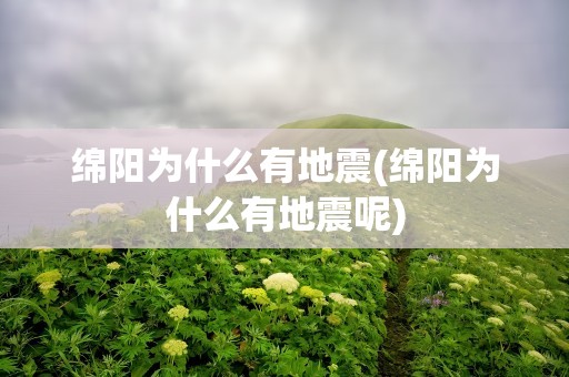 绵阳为什么有地震(绵阳为什么有地震呢)