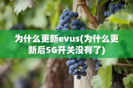 为什么更新evus(为什么更新后5G开关没有了)