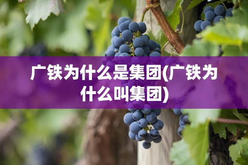 广铁为什么是集团(广铁为什么叫集团)