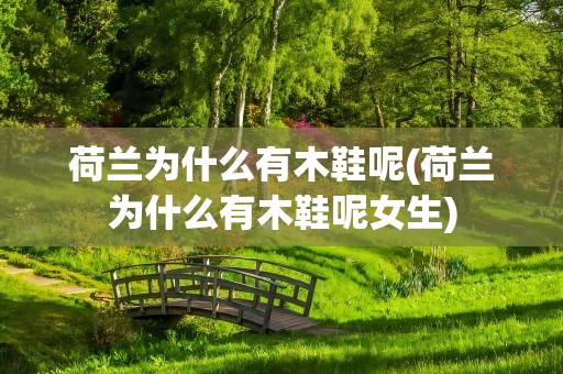 荷兰为什么有木鞋呢(荷兰为什么有木鞋呢女生)