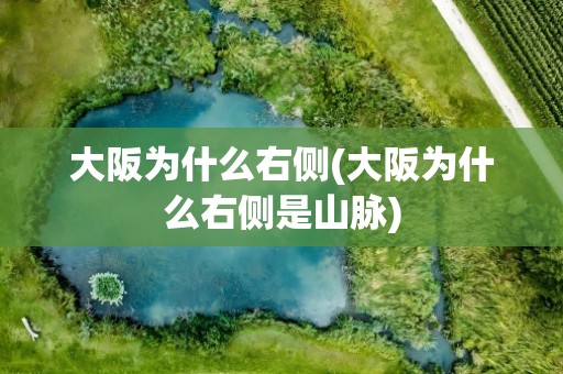 大阪为什么右侧(大阪为什么右侧是山脉)