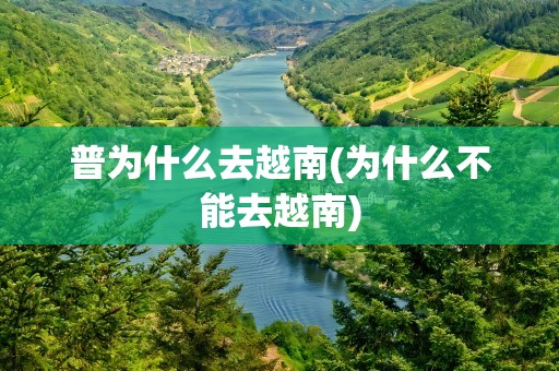 普为什么去越南(为什么不能去越南)