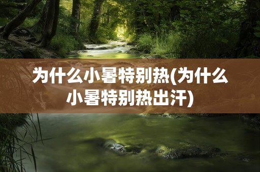 为什么小暑特别热(为什么小暑特别热出汗)